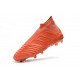 Chaussures de Football Pas Cher Adidas Paul Pogba Predator 18+ FG Rose